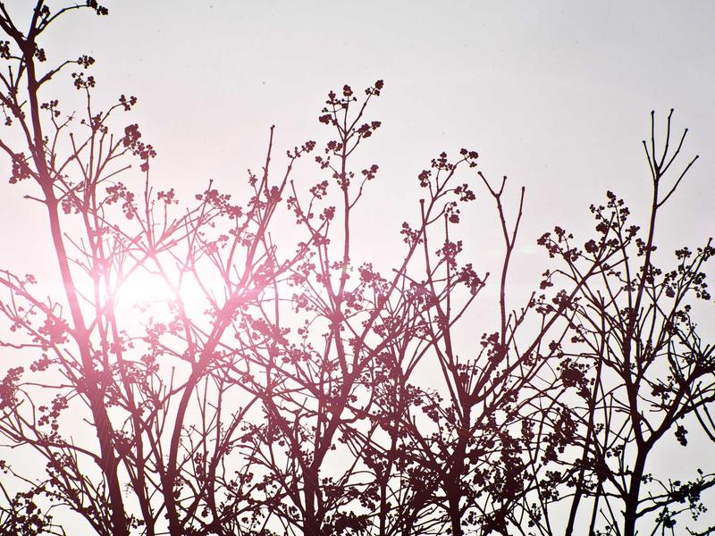 sudoku solving methods screenshot 3