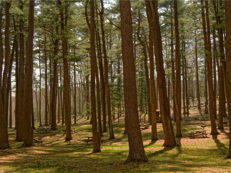 sudoku solving methods screenshot 5